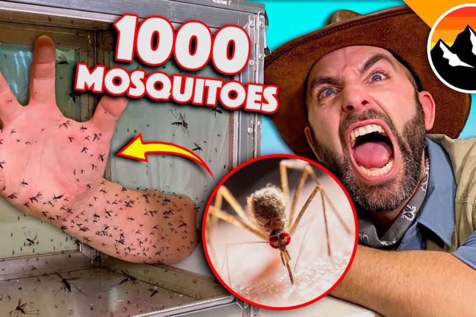 Do Black People Get Bitten By Mosquitoes More?