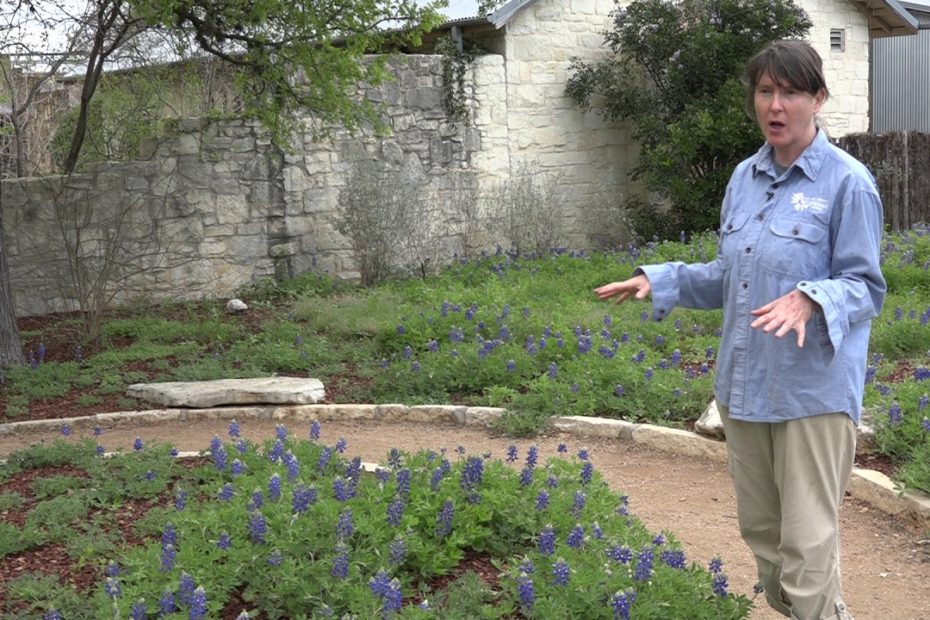 Do Bluebonnets Grow Outside Of Texas?