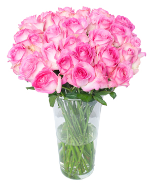 Vase With Pink Roses: Sự Tươi Mát Của Hoa Hồng Hồng