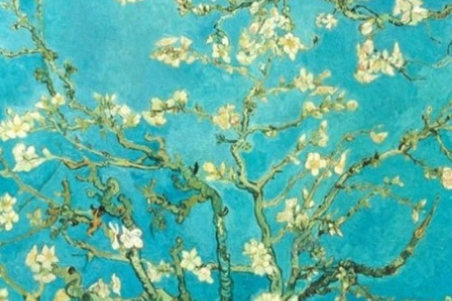 Vườn Hoa Cây Của Van Gogh: Sự Nở Hoa Tươi Đẹp