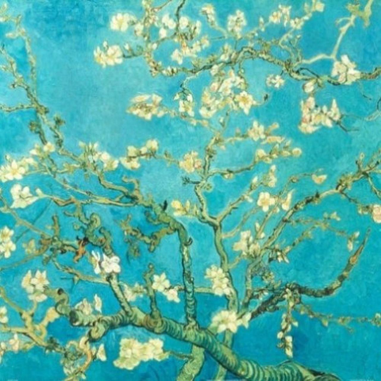 Amazon.Com: Buyartforless Almond Blossom By Van Gogh 24X24 Art Print Poster  Abstract Floral Blue Background White Flowers On Tree Stems: Posters &  Prints