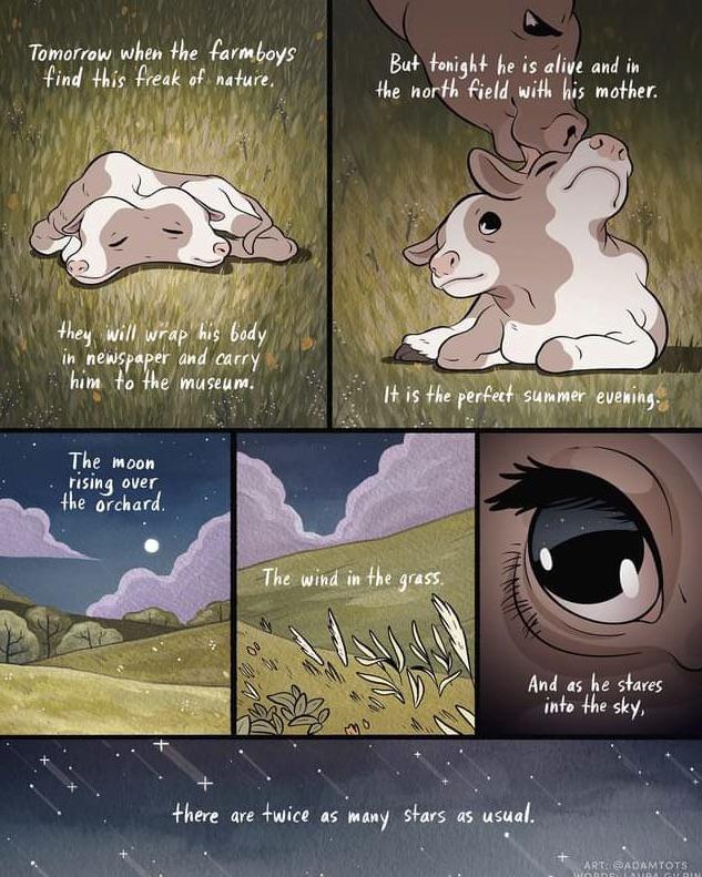 An Illustration Of The Poem “The Two Headed Calf” : R/Mademecry