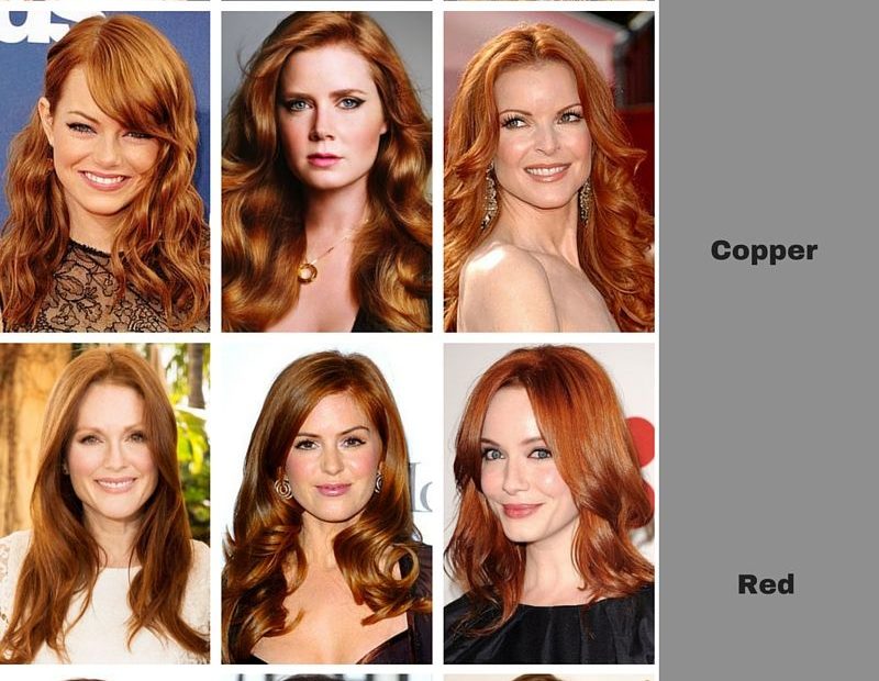 Types Of Redheads You See A Lot Of Colors Mislabeled 8189