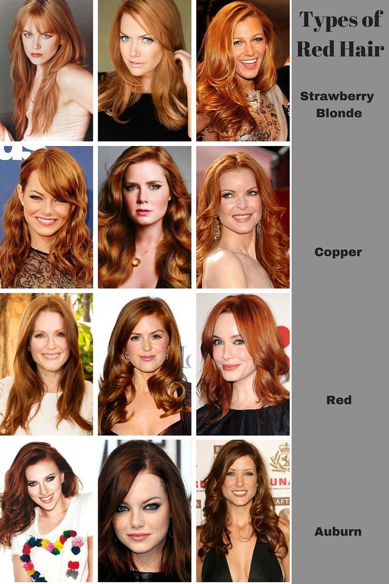 Types Of Redheads. You See A Lot Of Colors Mislabeled As Red Hair Shades On  The Internet These Days. A … | Hair Color For Fair Skin, Shades Of Red Hair,  Hair Shades