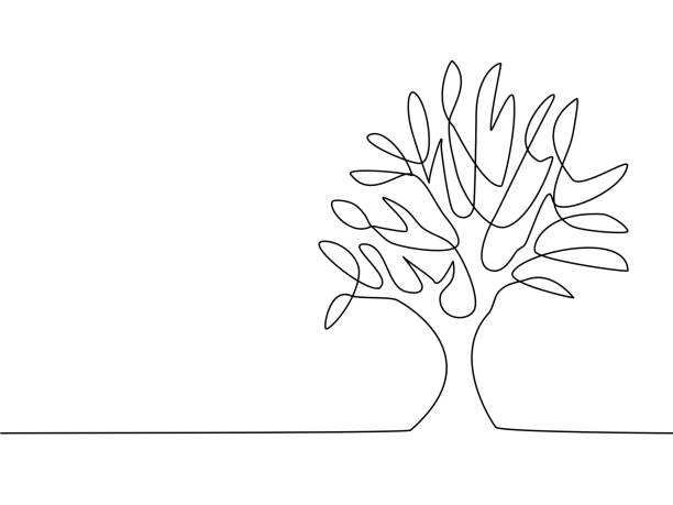 750+ Tree Line Drawing Stock Photos, Pictures & Royalty-Free Images -  Istock | Palm Tree Line Drawing, Pine Tree Line Drawing, Christmas Tree  Line Drawing