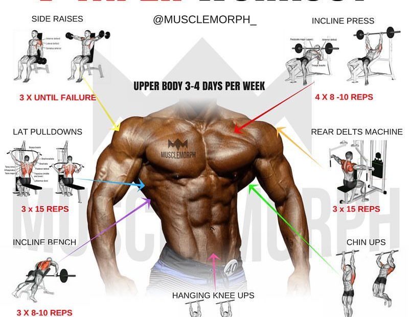 V Taper Back Workout: Bí Quyết Tạo Dáng Lưng Hoàn Hảo