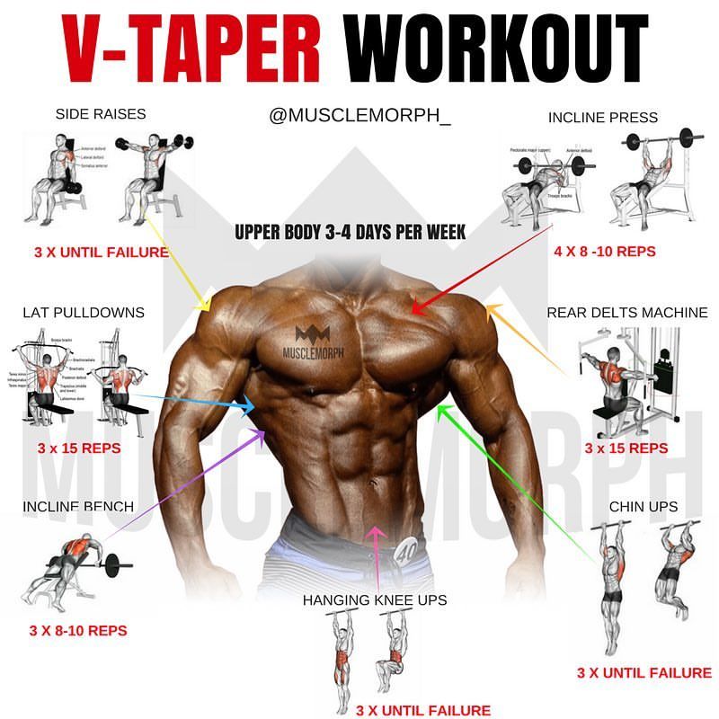 Looking To Develop The V-Taper 🤔💥Try This Workout & Follow @Musclemorph_  For More Fitness Tips __ 💢En… | Workout, Work Out Routines Gym, Muscle  Building Workouts