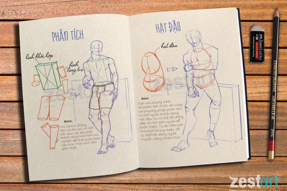 Khóa Học Vẽ Ký Họa Dáng Người (Figure Sketching) - Sketch Cơ Thể Người