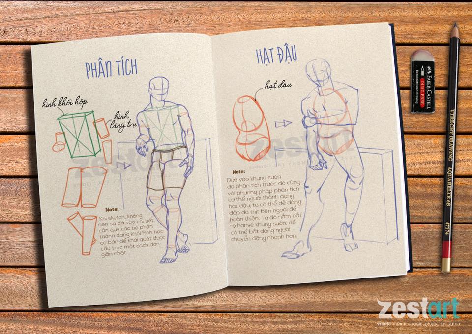 Khóa Học Vẽ Ký Họa Dáng Người (Figure Sketching) - Sketch Cơ Thể Người