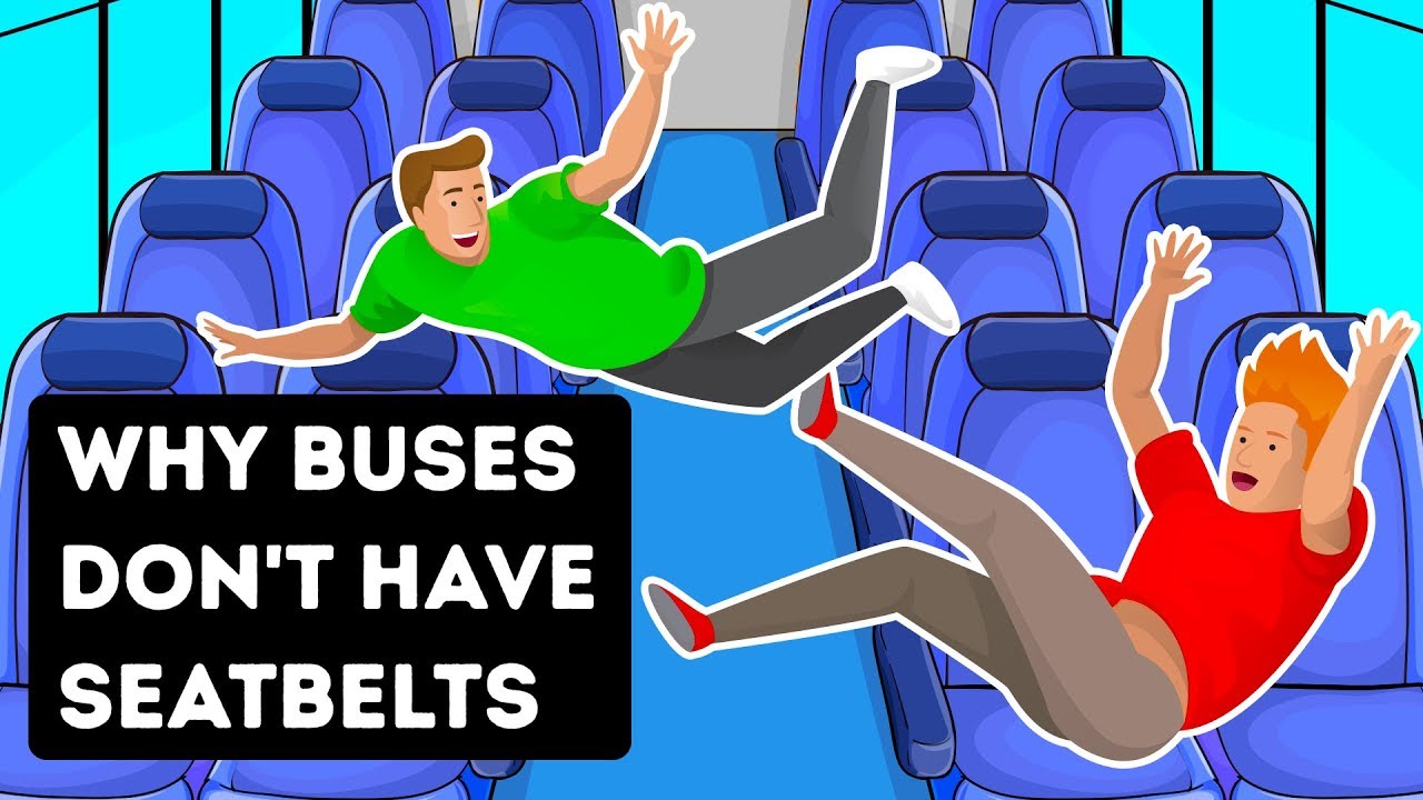 Do Bus Drivers Wear Seat Belts?