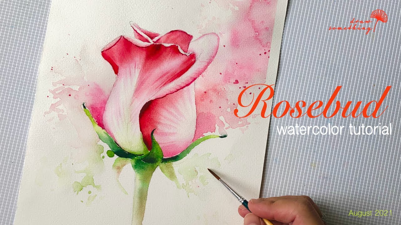 Cách Vẽ Hoa Hồng Bằng Màu Nước Siêu Đơn Giản/ Watercolor Rosebud Tutorial  For Beginner - Youtube