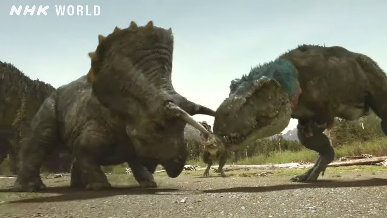 Tyrannosaurus Vs Triceratops - Dinosaurs - Youtube