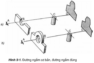 Thế Nào Là Đường Ngắm Cơ Bản, Đường Ngắm Đúng, Ảnh Hưởng Của Ngắm Sai Đến  Kết Quả Bắn