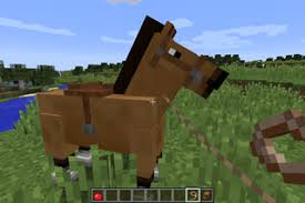 How To Put A Horse In A Boat In Minecraft: A Step-By-Step Guide