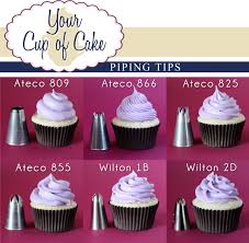 Ateco Piping Tips Vs Wilton: Which Is Best?