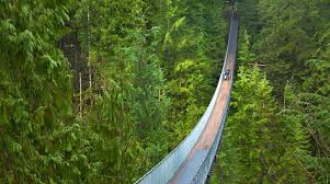 Lynn Valley Vs Capilano Suspension Bridge: Which Vancouver Hike Is Right For You?