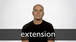 Difference Between Extension And Extention | Compare The Difference Between  Similar Terms
