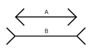 Visual Perception Test For Agnosia: Understanding Object Recognition Challenges