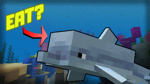 What Dolphin Eat In Minecraft: A Hungry Ocean Guide