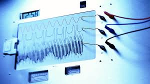 Polygraph Test Meaning In Hindi: A Comprehensive Guide