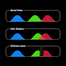 Contact Lenses For Color Blindness: Price Breakdown