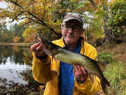 Are Pickerel Good To Eat? A Delicious Fish Guide