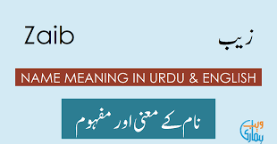 Zeb Name Meaning In Urdu: Discover The Significance