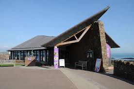 Scottish Seabird Centre North Berwick: A Must-Visit For Bird Lovers