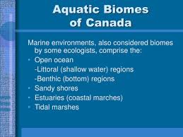 Aquatic Biomes Are Categorized By Which Of The Following?