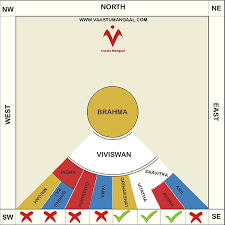 South Facing House Vastu Problems In Tamil: What You Need To Know