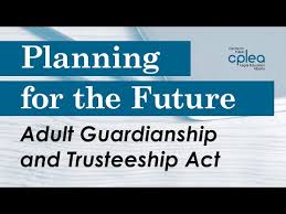 Adult Guardianship And Trusteeship Act | What Is The Adult Guardianship Act In Canada?