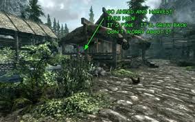 How To Respawn In Skyrim: A Guide To Reviving Your Character