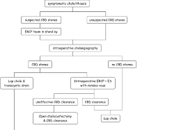 What Test Would Demonstrate Choledocholithiasis: A Guide