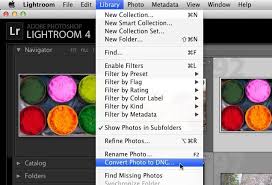 How To Convert Nef To Dng In Lightroom: A Step-By-Step Guide